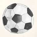 Image Not Available